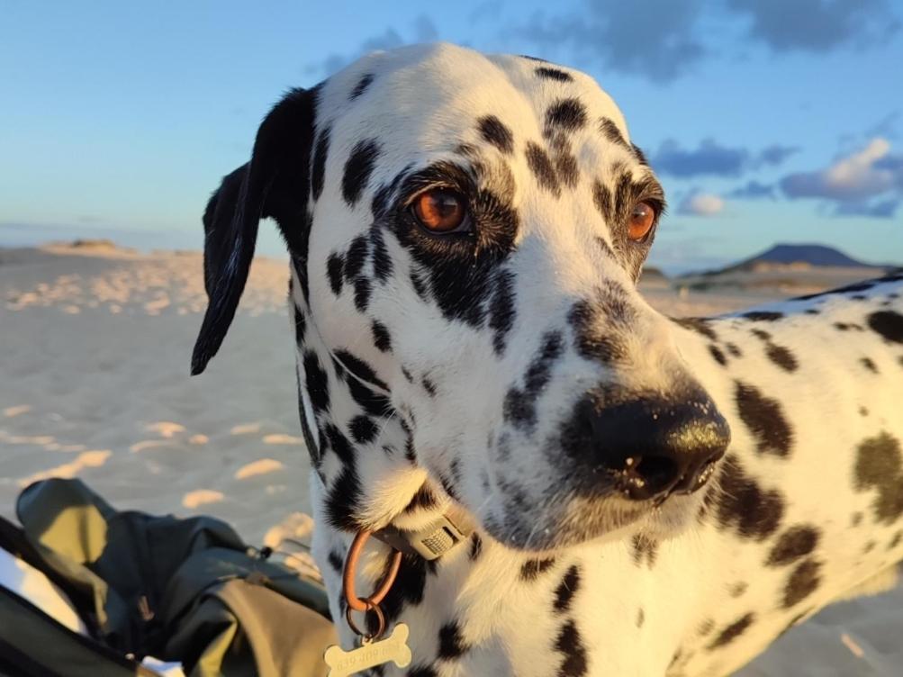 Fuerteventura Casa Tikuna La Oliva Εξωτερικό φωτογραφία